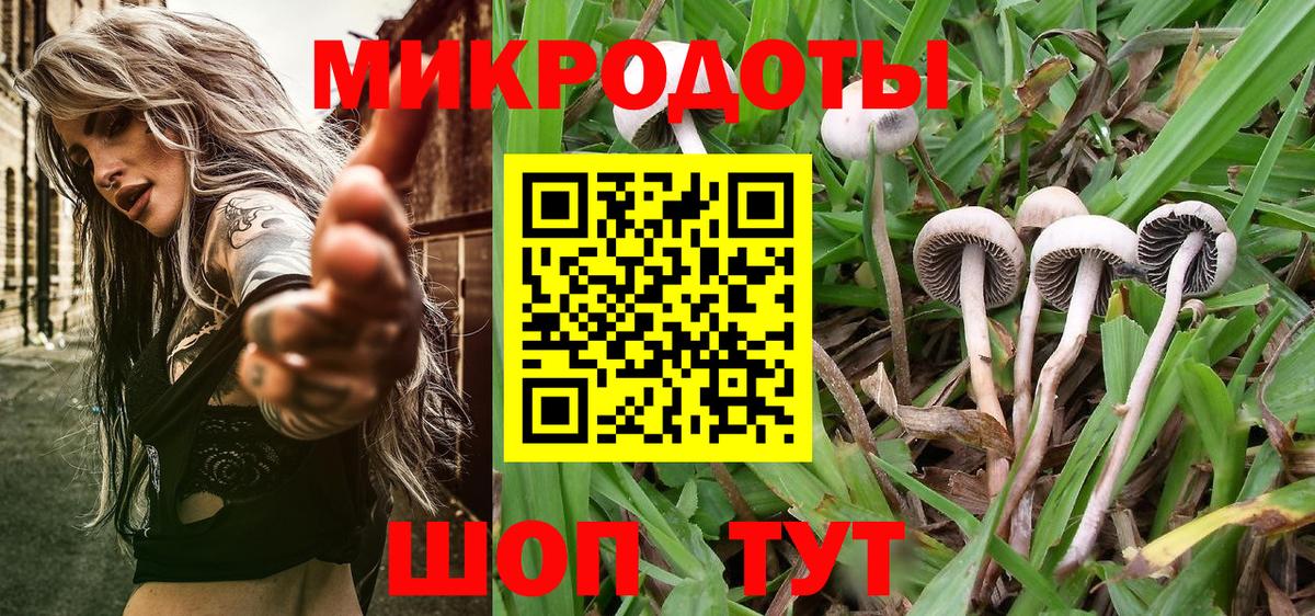 Галлюциногенные грибы мухоморы Лыткарино
