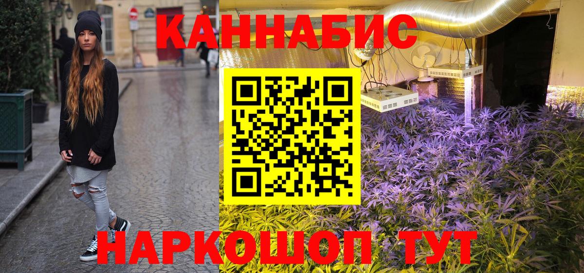 Каннабис ГИДРОПОН  Конопля Bruce Banner  Лыткарино  Канабис сатива  Вход с VPN 